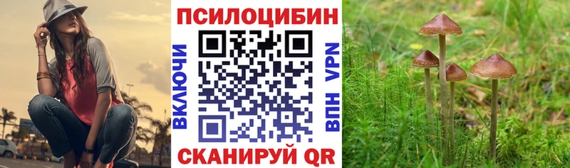 Галлюциногенные грибы ЛСД Туринск