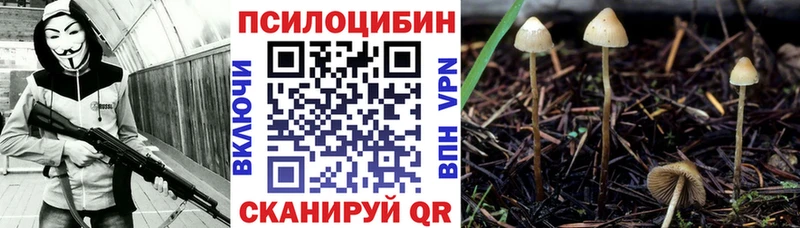 Купить где  Туринск  Псилоцибиновые грибы прущие грибы 